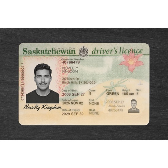 Saskatchewan Fake ID (2025 Version)