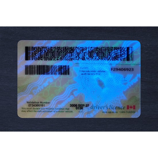 Saskatchewan Fake ID (2025 Version)
