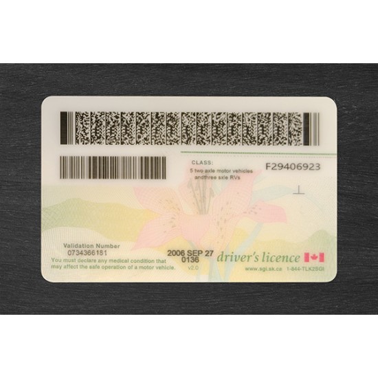 Saskatchewan Fake ID (2025 Version)