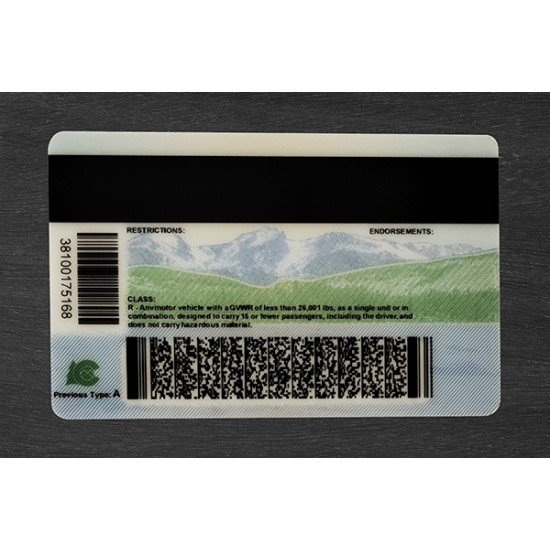 Colorado Fake ID (2025 Version)