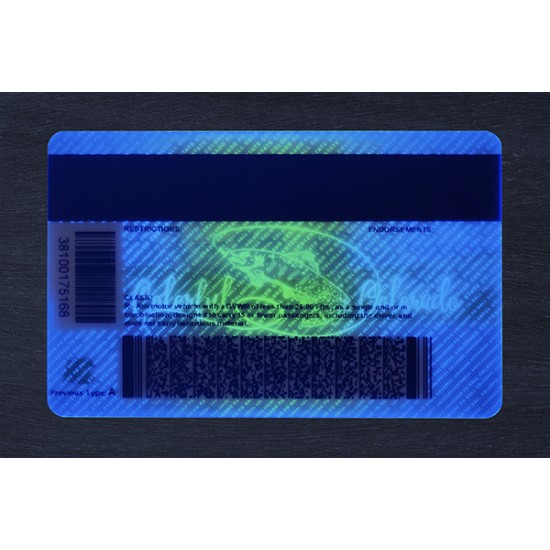 Colorado Fake ID (2025 Version)