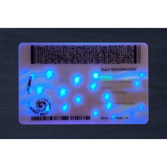 New York Fake ID (2025 Version)