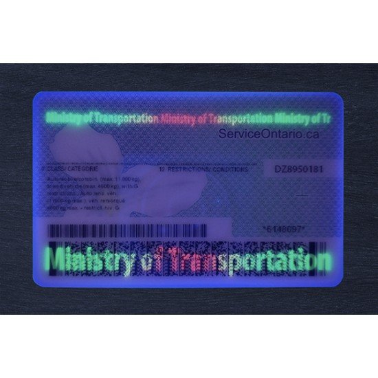Ontario Fake ID (2025 version)