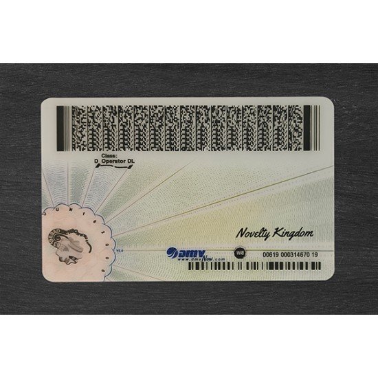 VIRGINIA FAKE ID (2025 VERSION)