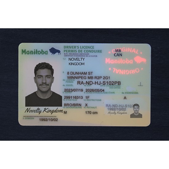 Manitoba Fake ID (2026 Version)
