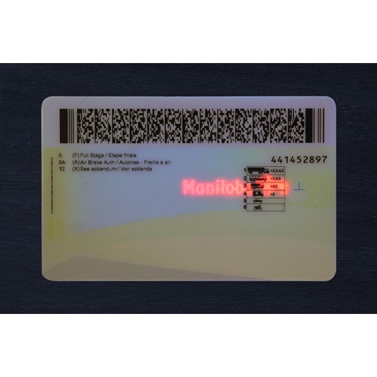 Manitoba Fake ID (2026 Version)