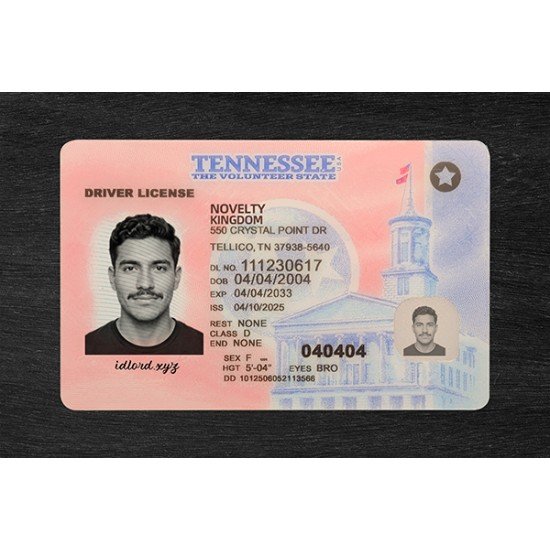 Tennessee Fake ID (2026 Version)