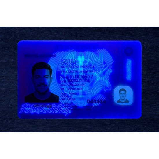 Tennessee Fake ID (2026 Version)