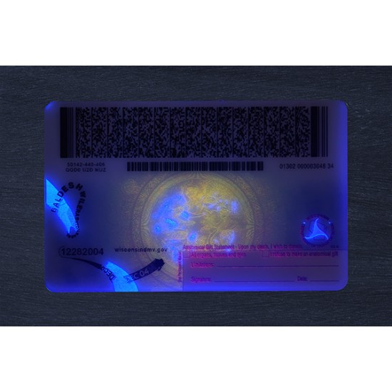 Wisconsin Identification Card (2026 Version丨Not DL)