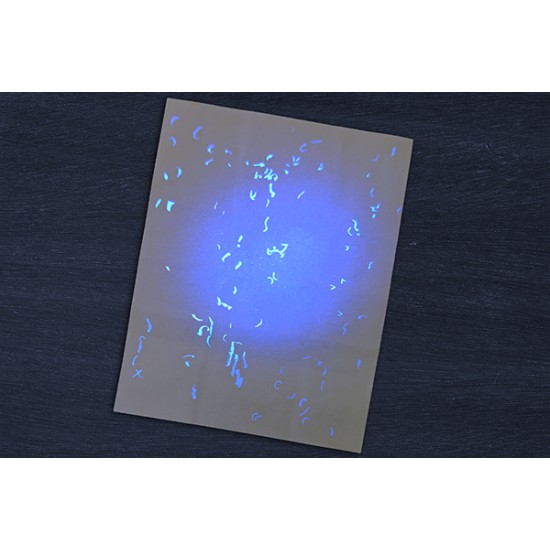 Novelty Iowa Birth Certificate