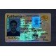 California Fake ID