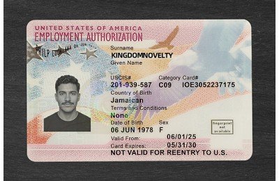 Employment Authorization Card