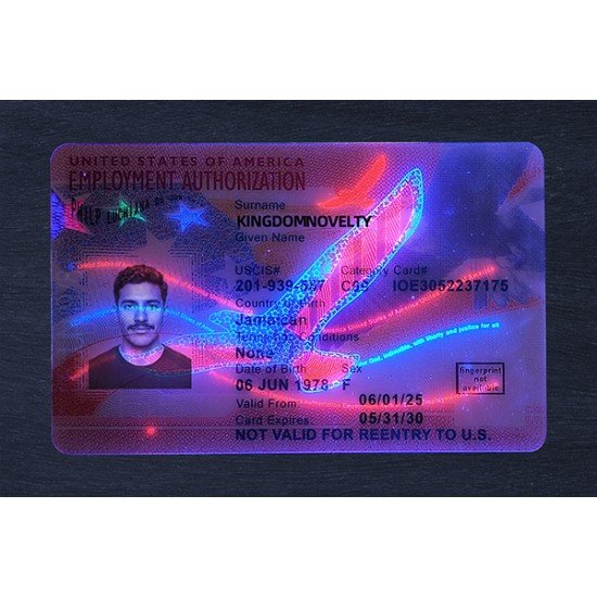 Employment Authorization Card