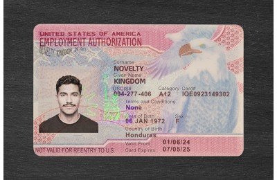 Employment Authorization Card（2026 Version）