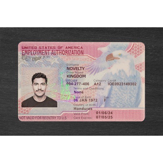 Employment Authorization Card（2026 Version）