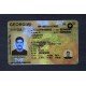 Georgia Fake ID