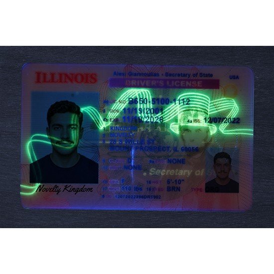 Illinois Fake ID