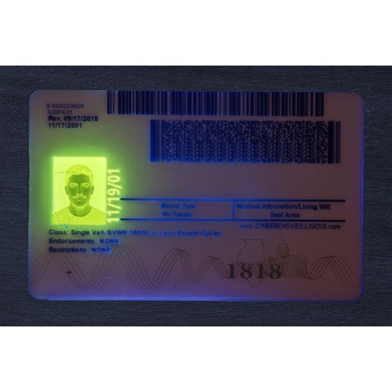 Illinois Fake ID