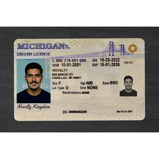 Michigan Fake ID