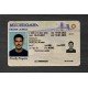 Michigan Fake ID
