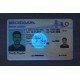 Michigan Fake ID