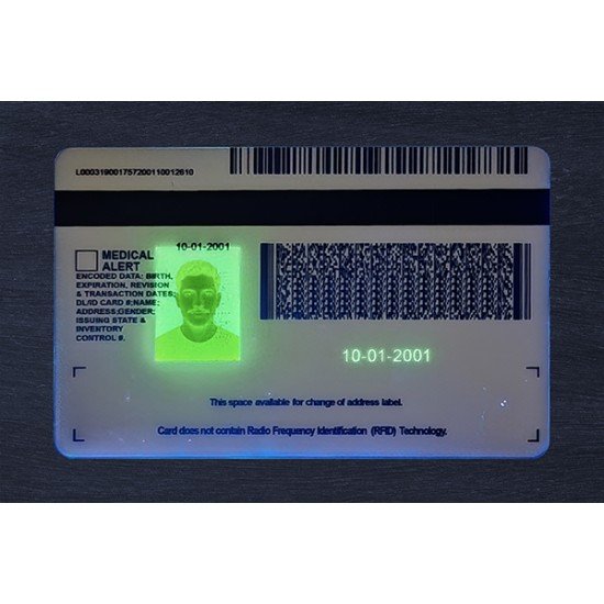 Michigan Fake ID