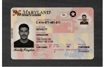 Maryland Fake ID
