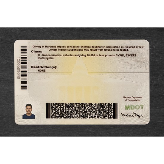 Maryland Fake ID