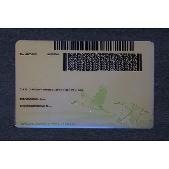 Nebraska Fake ID