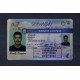 Nevada Fake ID
