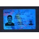 New York Fake ID