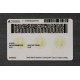 Washington Fake ID