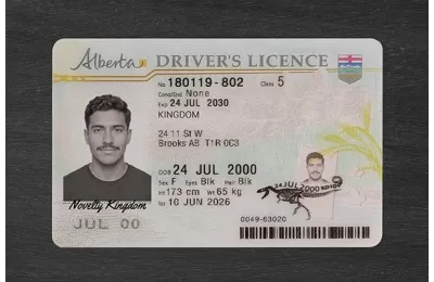 Alberta Fake ID (2026 Version)