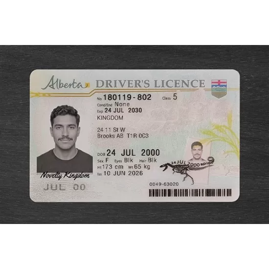 Alberta Fake ID (2026 Version)