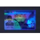 Alberta Fake ID (2026 Version)