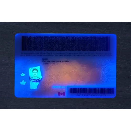 Alberta Fake ID (2026 Version)